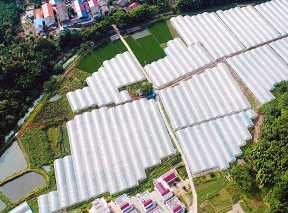 江西赣州梅林镇GDP_普宁梅林镇图片