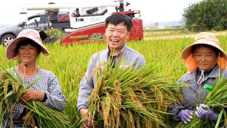 “农民院士”朱有勇：向旱作水稻要口粮