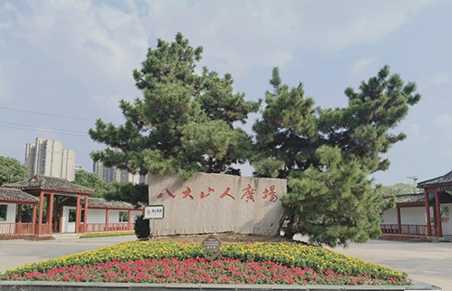 南昌市青云谱区：18万株花卉造景 迎“双节”倡文明 