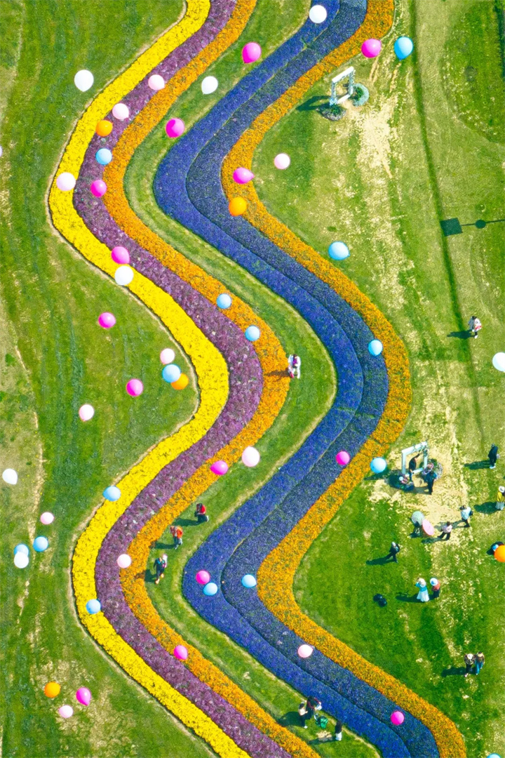 赏花指南，春暖花开的气象密码