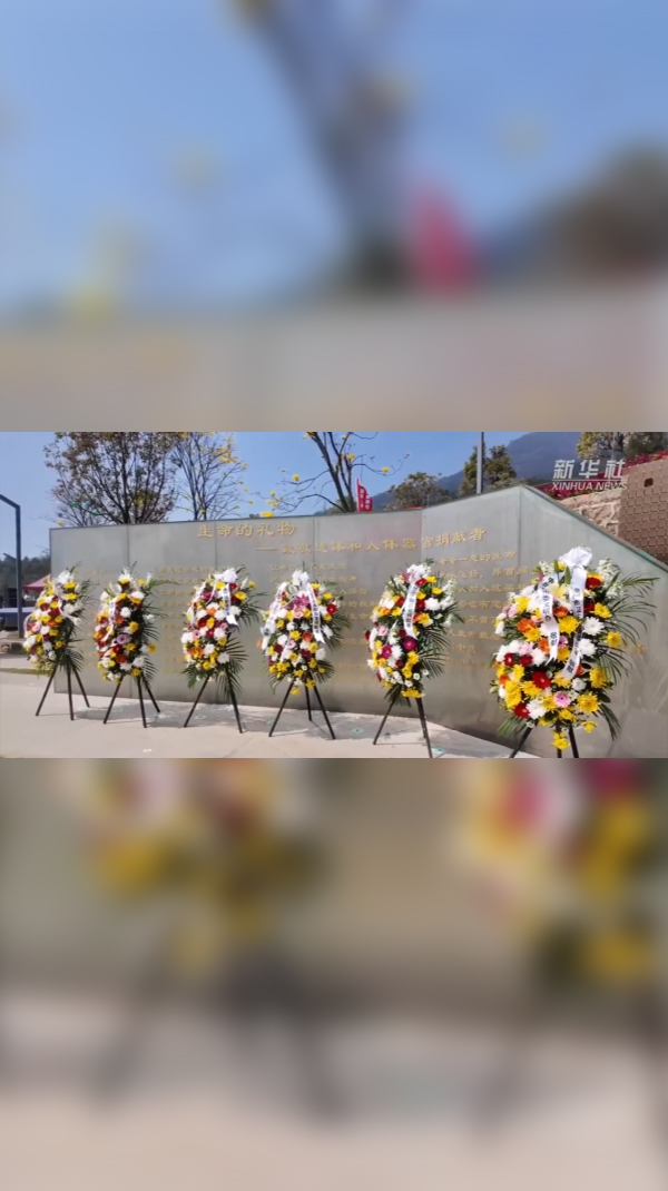 清明节前寄哀思，致敬“无言良师”