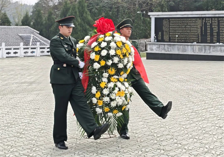 杜鹃花开 精神永存