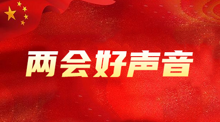 全息交互看报告