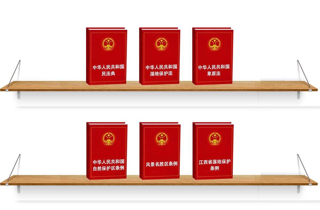 法律法规